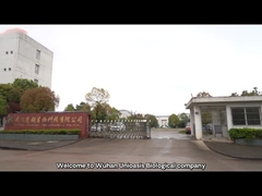 Company introduction of Wuhan Unioasis Biological Technology