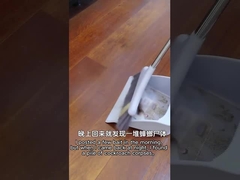 Biological Larva Egg Cockroach Repellent Gel Gel For Cockroach Control