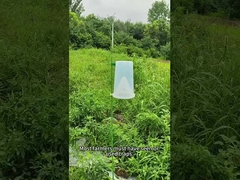 Pest perangkap serangga perangkap bit tentara cacing di jagung kubis cacing brokoli perangkap