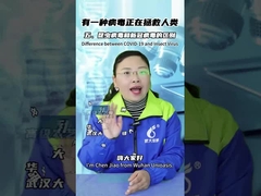 Katakan Selamat Tinggal Ke Kecoa Dengan Gel Umpan Kecoa Aman dan Virus Kecoa Bahan Aktif