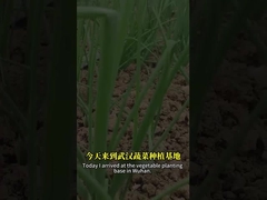 Kombinasi spora bakillus dan baculovirus dapat mengendalikan hama lepidopteran dengan lebih baik