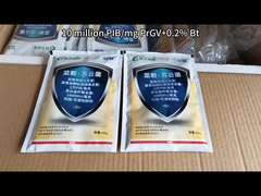 Insektisida Biologis Untuk Menghilangkan Kulat Berkilau Kulit Cabe PrGV