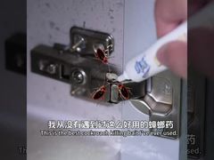 Insektisida Biologis untuk Membunuh Kecoa Dewasa, Larva, dan Telur dalam Bentuk Gel Umpan untuk Eliminasi Kecoa