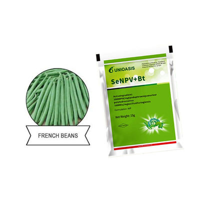 Organic certification insecticide excellent control of beet armyworm vegetable crop pests management