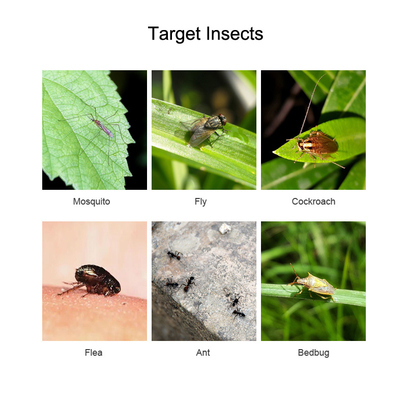 Pyrethrin Application Controlling Insects Driving Flies Insecticide Indoor Use Plant Ingredient