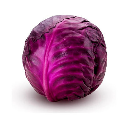 Attractive Price Spodoptera litura White Moth Pests Elimination AcNPV bio pesticides