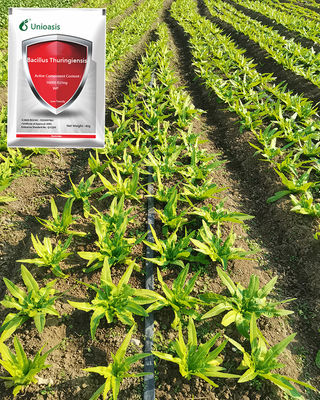 Agriculture Lepidoptera Pests Killer Bacillus Thuringiensis Vegetable Crops Microbial Pesticide