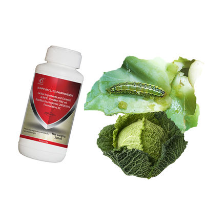 Agricultural cruciferous vegetable maize safe pesticide AcNPV bio insecticide factory 